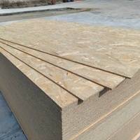 Panneau OSB (Oriented Strand Board) en bois composite imperméable de 18 mm, 15 mm, 12 mm pour usage intérieur et extérieur