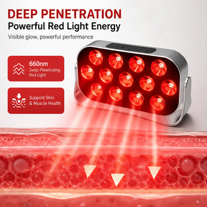 Panneau de luminothérapie LED rouge 13 LED portable pour le visage et le corps, usage domestique, intensité réglable, IP65, corps en ABS - Product Image 5