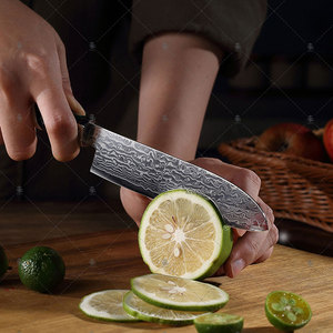 KEENHOPE 专业日本5英寸大马士革厨师刀67层VG10锋利三德菜刀树脂网状八角手柄 - Product Image 4