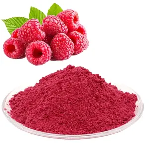 ISO Factory Natural Fruit Powder Raspberry Flavor Water Soluble Raspberry Powder