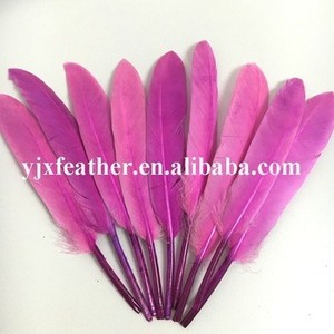Pas cher coloré <span class=keywords><strong>D</strong></span>écoratif Blanchi teint Plumes <span class=keywords><strong>d</strong></span>'<span class=keywords><strong>oie</strong></span> à vendre - Product Image 4