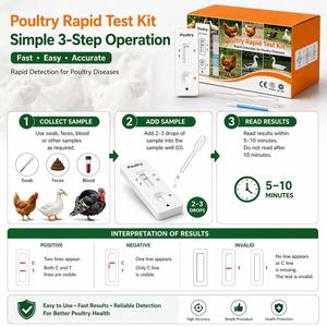 Kit de Prueba Rápida para Aves de Corral, Tira de Detección de Bronquitis y Enfermedad de Newcastle para la <span class=keywords><strong>Gestión</strong></span> de Granjas Avícolas - Product Image 4