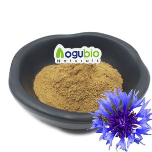 100% 純粋な天然高品質CentaureaCyanusエキス粉末コーンフラワーエキス - Product Image 1