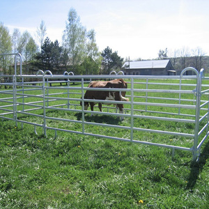 16 anni di fabbrica per il cortile del bestiame galvanizzato del pannello del cavallo 10 piedi - Product Image 1