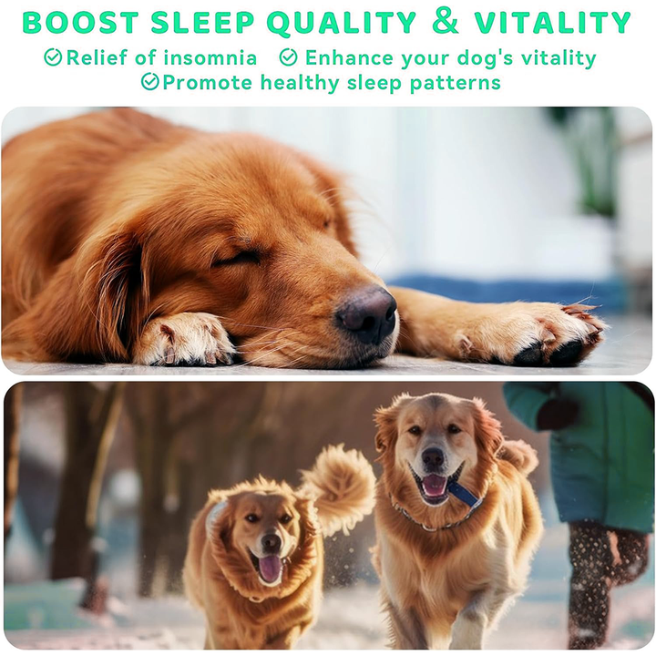 Picture of Melatonin for Dogs-Dog Anxiety Relief Sleep Aid Stress Reducer Immune ...