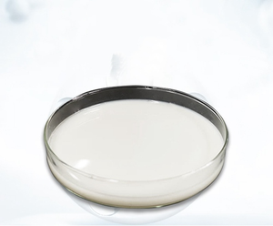 Échantillons de Support Meglumine N-(1-(Dipropylamino)-3-(4-hydroxyphényl)-1-oxopropan-2-yl)<span class=keywords><strong>benzamide</strong></span> CAS 57227-09-5 - Product Image 2
