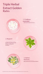 Lenços Íntimos Herbais - Sem Enxágue, Limpeza Antibacteriana Suave, Tecido Não Tecido para Uso Adulto - Product Image 4