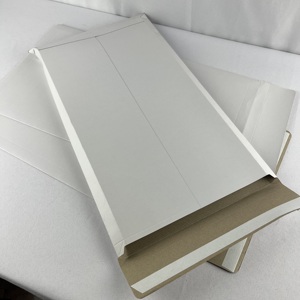 Custom A4 <span class=keywords><strong>buste</strong></span> in cartone rigido busta imballaggio tassello in cartone raccordi <span class=keywords><strong>buste</strong></span> <span class=keywords><strong>per</strong></span> imballaggio libro - Product Image 2