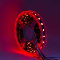 Bande lumineuse de contrôleur d'application à distance Full Color Running Individuellement Adressable Led Strip Magic 30 60LED/M pour la décoration