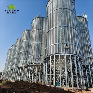 Silos en acier de haute qualité de 100 à 1500 tonnes pour le <span class=keywords><strong>stockage</strong></span> des céréales / silos à blé / silos à maïs, <span class=keywords><strong>prix</strong></span> fabricant de silos à riz - Product Image 1