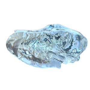 Şeffaf köpek diş hayvanlar Oral diş çene modeli reçine kafatası diş anatomik veteriner eğitim anatomi mankeni - Product Image 1