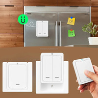 Interruptor de Luz Inalámbrico de Pared RF 433MHz, Alcance de 10-50m, 6V Máx., 1/2/3/4/6 Canales para Lámpara LED