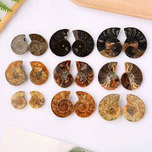 haute qualité, pierres minérales naturelles de guérison, quartz clair, forme libre, cristal irrégulier - Product Image 2