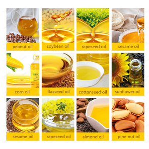 Presse à huile automatique pour huile de palme, tournesol, arachide, olive – Machine à <span class=keywords><strong>presser</strong></span> à vis pour la production d'huile pour petites entreprises - Product Image 5