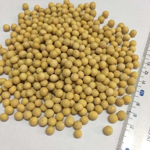 Vente en gros <span class=keywords><strong>de</strong></span> <span class=keywords><strong>soja</strong></span> biologique sans OGM pur vert frais - Product Image 4