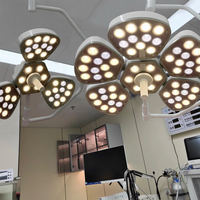 Lampe chirurgicale vétérinaire LED murale sans ombre 160000 Lux CRI96 réglable certifiée CE
