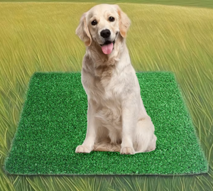 Alfombra Refrescante para Mascotas de Verano, Diseño Nuevo, Máxima Comodidad, Transpirable, de Seda de Hielo, Manta para Perros y Gatos - Product Image 4