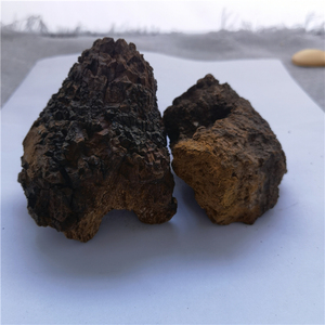 <strong>Bai</strong> <strong>Hua</strong> <strong>Rong</strong> Organic Siberian Chaga Chunks Inonotus Obliquus Mushroom - Product Image 2