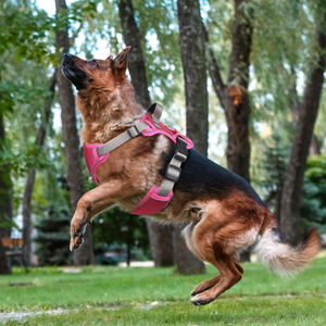 Harnes anjing dalam latihan, rompi nyaman anjing menyesuaikan kualitas tinggi, Harness anjing peliharaan tahan lama, ringan dapat disesuaikan, Harness baru - Product Image 3