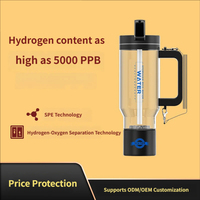 Bouilloire à eau hydrogénée portable SPE, colorée et personnalisable, 2000 à 3000 ppb, alimentée par USB, pour la maison et la voiture, eau froide