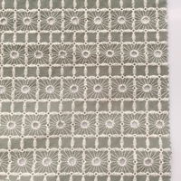 Nouveau design doux 100% coton 140gsm coton broderie tissu avec trous coloré broderie oeillet tissu pour robe et vêtement