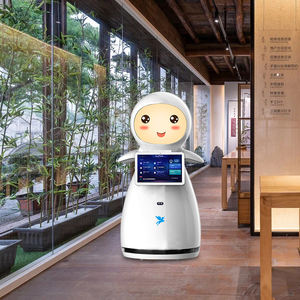 Robots de Juguete, Tecnología Educativa, Robot Inteligente para Escuelas e Instituciones Educativas - Product Image 6