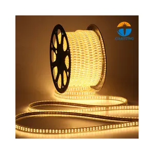 Smart Dc220V Groothandel Goedkope Fabriek Prijs 100 Meter Smd 5050 Waterdichte Ip65 Flexibele Dream Rgb Kleur Veranderende Led Strip Licht