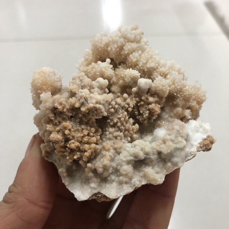 Cluster de zéolite