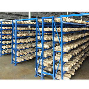 Oyster/shiitake/lions Mane Mushroom Growing Shelves Customizable Sizes Available Mushroom <b>Cultivation</b> Grid Rack - Product Image 2