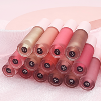 Lápiz Labial Nude de Alta Calidad con Etiqueta Personalizada, Cosmético Rojo Sexy Mate Cremoso, Brillo Labial Impermeable