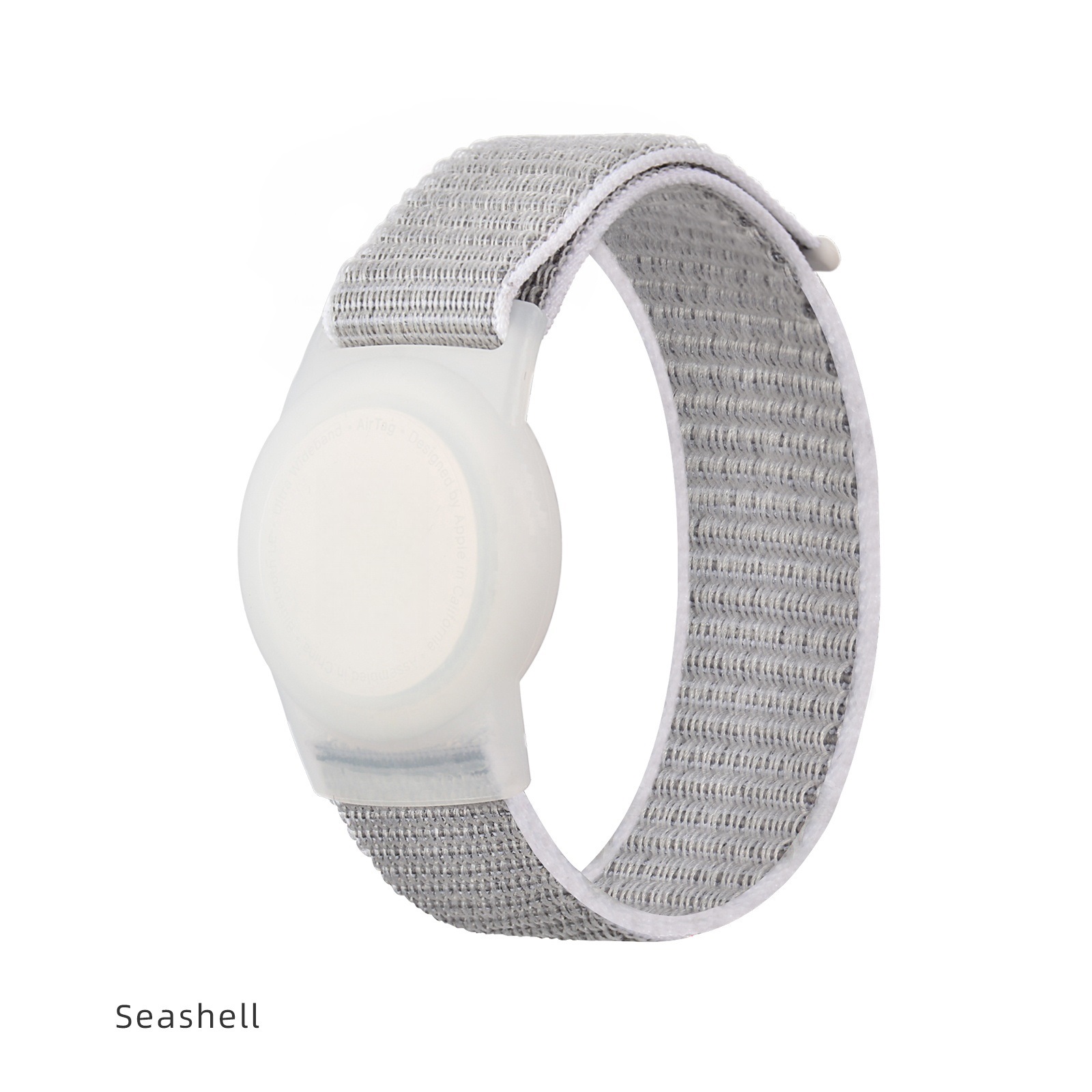 White Seashell