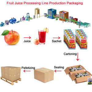 Tự động 500-20000 kg/giờ hoàn chỉnh nhà máy táo dây chuyền chế biến nước táo cho rau quả bao gồm máy ép táo/LÊ - Product Image 2