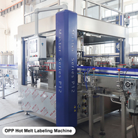 Usine complète d'embouteillage d'eau pour nouvelle usine, solution clé en main 4000-6000 BPH avec formation et support technique