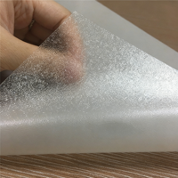 TREES-WF1212 - Suministro al por Mayor de Fábrica |   Película Esmerilada de PVC Autoadhesiva Mate para Ventanas de Vidrio, Distribuidores y Tiendas Minoristas