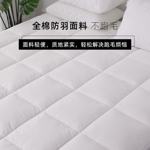Surmatelas en latex et plumes d'oie blanches 180x200cm, doux, respirant, design minimaliste, pour chambre à coucher - Product Image 5