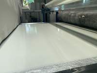 Panneaux en FRP, fibre de verre, gel coat imperméable, panneaux plats, carrosserie de camion, panneaux muraux pour chambre froide