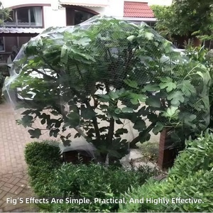 Bird Netting Anti Bird Mist Net Orchard Fruit <b>Garden</b> Protection <b>Mesh</b> Small Hole Farm Crop Custom Size - Product Image 3
