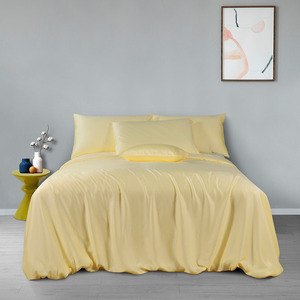 Parure <span class=keywords><strong>de</strong></span> lit en tissu d'eucalyptus 100%, draps <span class=keywords><strong>de</strong></span> lit <span class=keywords><strong>de</strong></span> haute qualité, <span class=keywords><strong>housse</strong></span> <span class=keywords><strong>de</strong></span> <span class=keywords><strong>couette</strong></span> en soie - Product Image 3