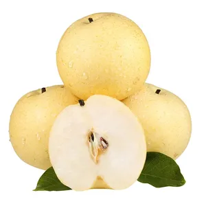 Singo Pear、Ya Pear、Golden Pear、Crown Pear、Fresh Pears、Fuji Apple from Guanixian、Shandong Province