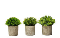 Plantes artificielles succulentes, petits bonsaïs, Dracaena Torch, Ananas, en pot, 19 cm, PE, écologiques, réalistes, durables, pour la maison