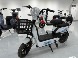 Bicicleta Eléctrica (E-Bike) de Fábrica al por Mayor, Barata, 350W 48V, para Adultos, con Batería de Plomo-Ácido en el Buje Trasero, Motor sin Escobillas, Alta Velocidad, Asistencia al Pedaleo Electrónica - Product Image 1