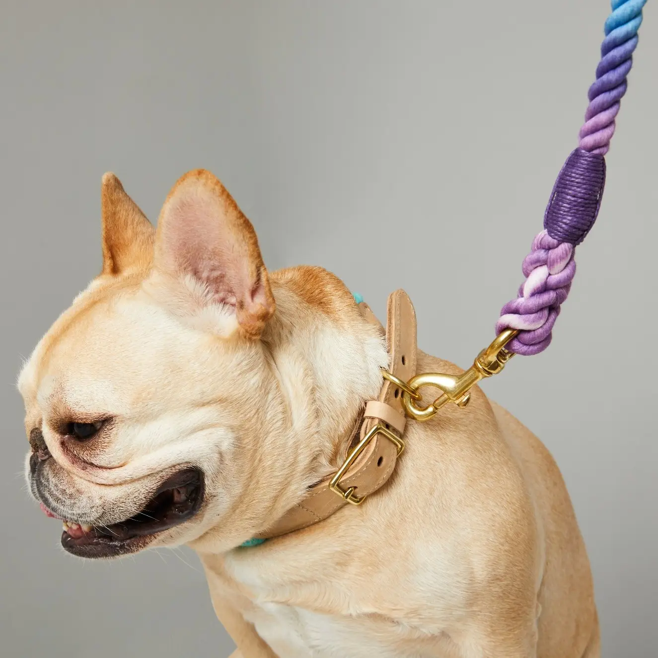 UFBemo Custom verstellbare Luxus Weich leder Regenbogen farbige Baumwolle Seil Haustier Hunde halsband und Leine Set