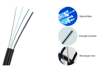 Kabel Drop Fiber Optik FTTH Self Support 1 2 4 6 12 Core G652D G657A Outdoor 1KM 2KM Harga Pabrik Grosir Kualitas Tinggi
