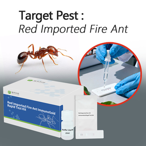 ชุดทดสอบระบุสายพันธุ์มดไฟแดงนำเข้า ชุดทดสอบเร็ว Solenopsis invicta ชุดทดสอบเร็ว RFIA สำหรับการตรวจจับและระบุสายพันธุ์ - Product Image 1