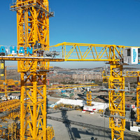 Grúa Torre plana de la parte superior de la Dh620-25T con el alcance de 85m para el engranaje y el motor de elevación pesados como componentes principales de la grúa de la base
