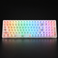 Clavier de jeu à rétroéclairage LED RVB personnalisé en usine, 100 touches, langues personnalisées, touches transparentes mates, clavier mécanique