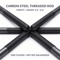 DIN975 Threaded Rod Grade 4.8/8.8 Carbon Steel Fully Threaded Stud Zinc Plated Black Finish Construction Fastening