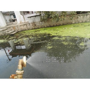 High-Pressure 90 45 Agricultural Motorized Sprayer with 35CM Copper <b>Sterilization</b> Nozzle Pesticide Farming <b>Equipment</b> - Product Image 1