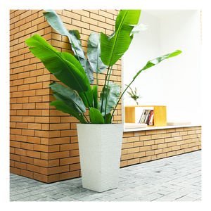 Prix de gros Pots de fleurs carrés hauts <span class=keywords><strong>40</strong></span> <span class=keywords><strong>cm</strong></span> Vente chaude Pots de fleurs et jardinières pour plantes d'intérieur 15,7 pouces <span class=keywords><strong>Pot</strong></span> de fleurs épaissi - Product Image 4