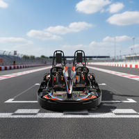 X-KART Go Kart de Dos Plazas, Go Kart de Lujo de 2 Asientos para Pista Comercial con Tanque de Combustible de Gran Capacidad de 10L